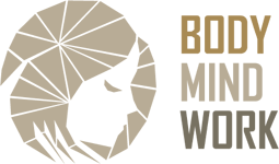 BMW logo